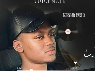 Inkosi kaVoicemail – Izinsimbi III