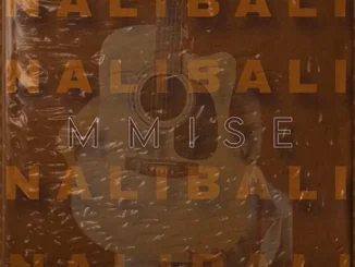Lebo Strings – Mmise ft Mcozet80, Zwane, Zambezi & Seventie