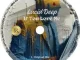 Lucid Deep – If You Love Me