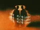 Mosebo & Bee Bar – The Lost Citizens