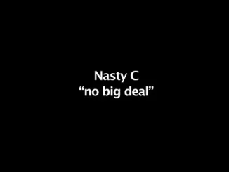 Nasty C – no big deal (prod. dj. khalil)