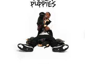 Pozer Puppies