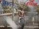 The Game The Documentary 2 5