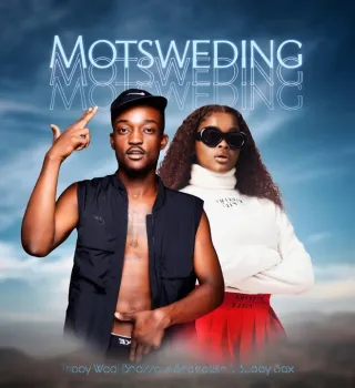 Tribby Wadi Bhozza Shandesh – Motsweding ft. Buddy Sax