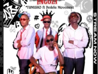 Tumisho – Ingozi ft Dedela Movement
