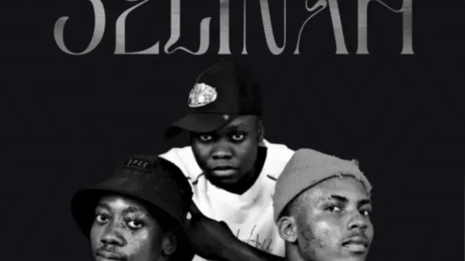 Wayne – Selinah ft Tango & SlowburnSA