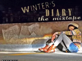 Winter's Diary Tink