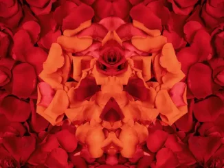 Yelawolf & J. Michael Phillips Whiskey & Roses