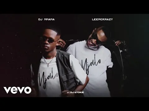 DJ Nnana, LeeMcKrazy Njalo Njalo (Visualizer) ft. DJ Stokie