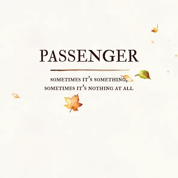 Passenger – Sometimes It's Something, Sometimes It's Nothing at All