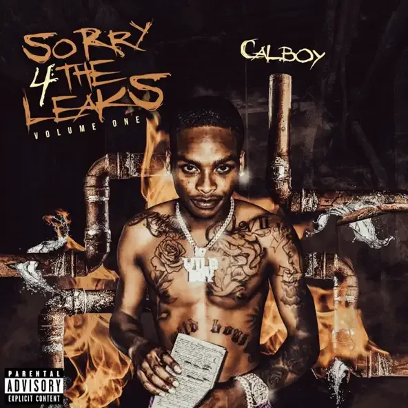 Sorry 4 the Leaks, Vol. 1 Calboy