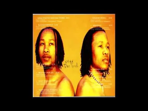 DJ Vybe – Wenu Phethe Bani (Feat Thebe) Twistyle
