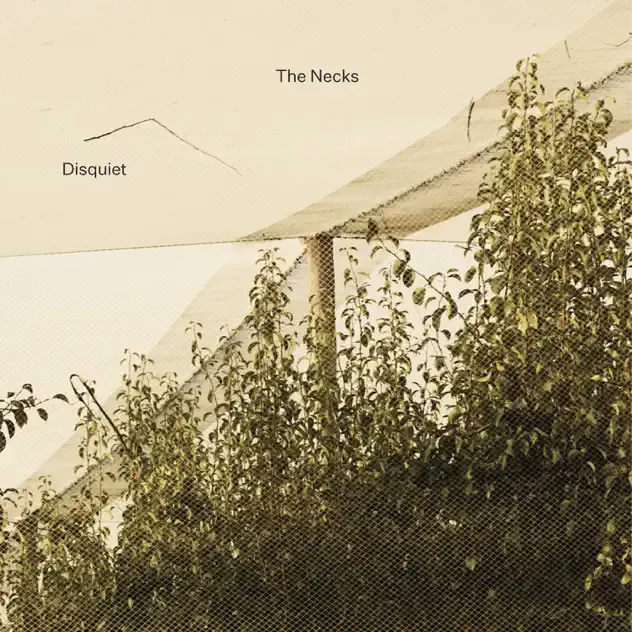 The Necks – Disquiet