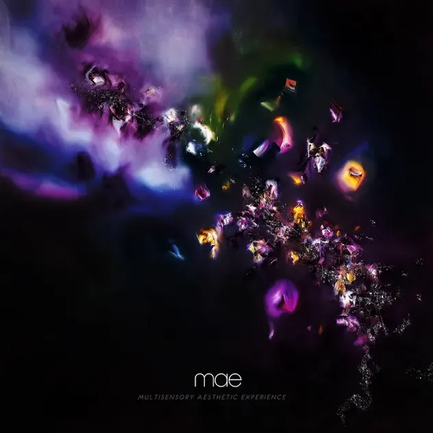 mae – Multisensory Aesthetic Experience
