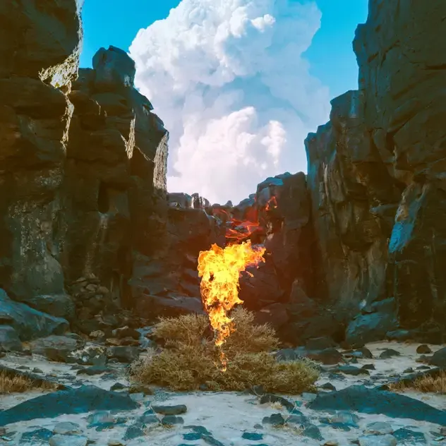 Bonobo – Migration