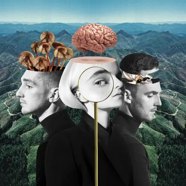 Clean Bandit What Is Love (Deluxe)