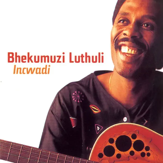 Bhekumuzi Luthuli – Incwadi