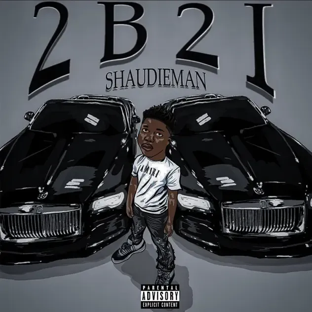 Shaudie Man – 2 BiG 2 IGNORE