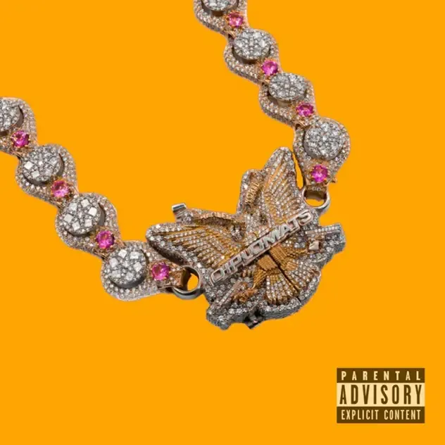 The Diplomats – The Diplomats (Vol. 5)
