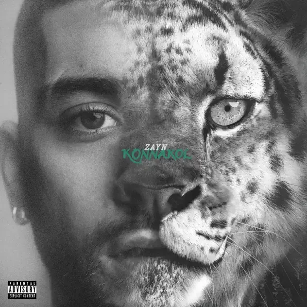 ZAYN Die For Me