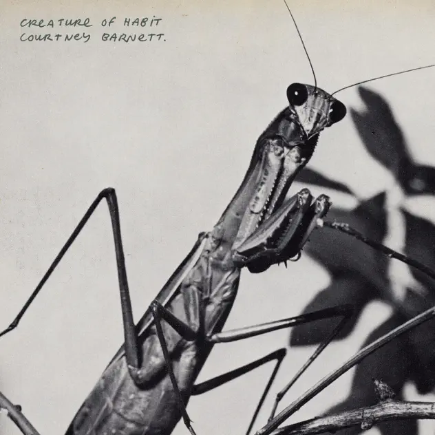 Courtney Barnett – Creature of Habit