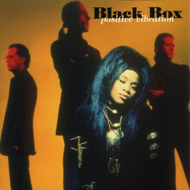 Black Box – Positive Vibration