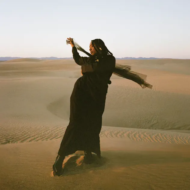 Dua Saleh Flood (feat. Bon Iver)