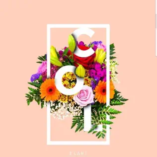 Elani Colours of Love