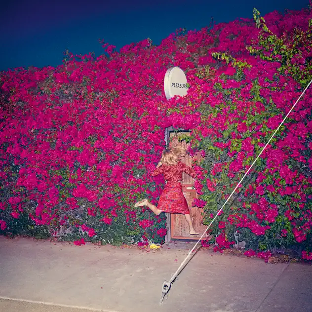 Feist Pleasure