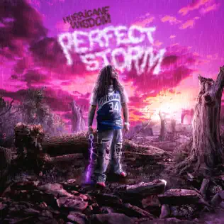 Hurricane Wisdom Perfect Storm Hurricane Wisdom Perfect Storm