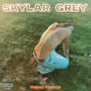 Skylar Grey – Wasted Potential