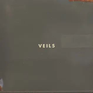 Vanessa Carlton Veils