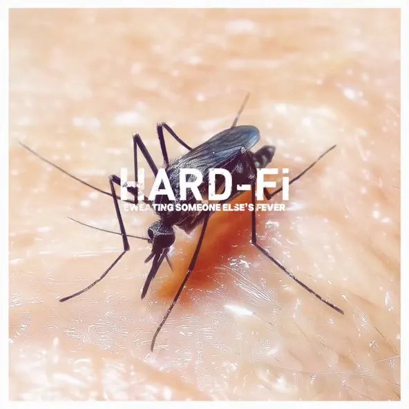 Hard Fi Sweating Someone Else's Fever