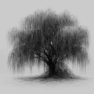 WILLOW – WILLOW