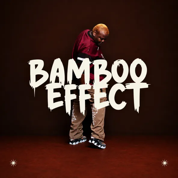 Biggie SA Bambo Effect