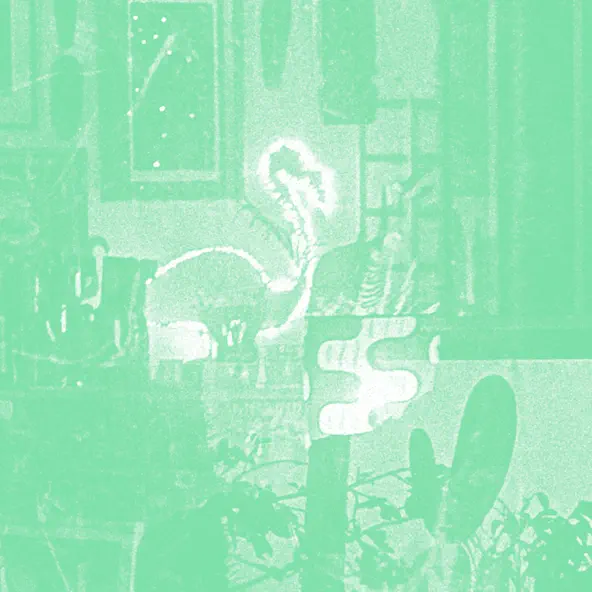 Mike Cooper Stochastic Parrot (feat Pierre Bastien & Mark Cunningham)