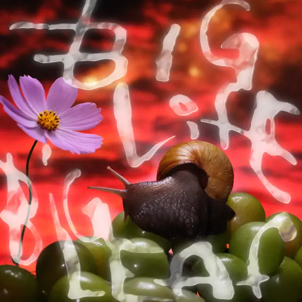 No Joy Big Life, Big Leaf Single