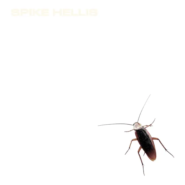 Spike Hellis Successor