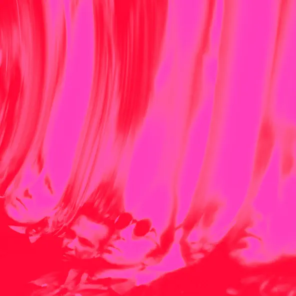 Ty Segall Love Fuzzz EP
