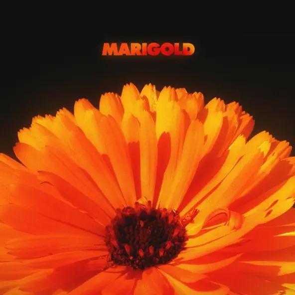 Alex Isley & Jack Dine Marigold