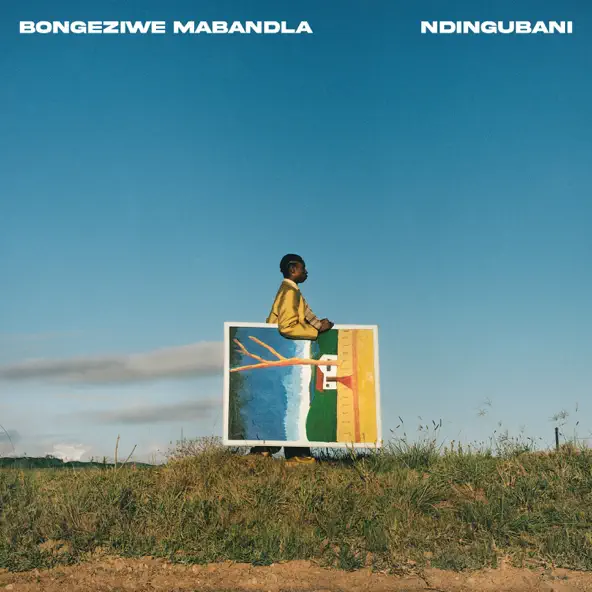 Bongeziwe Mabandla Ndingubani